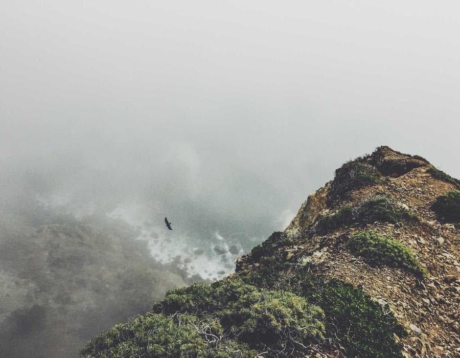 Local claims guidance - Home Insurance in Florida